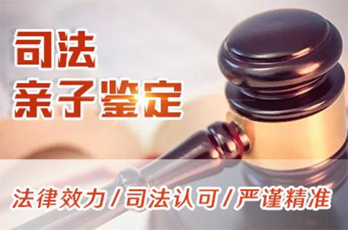 白山司法亲子鉴定怎么收费,