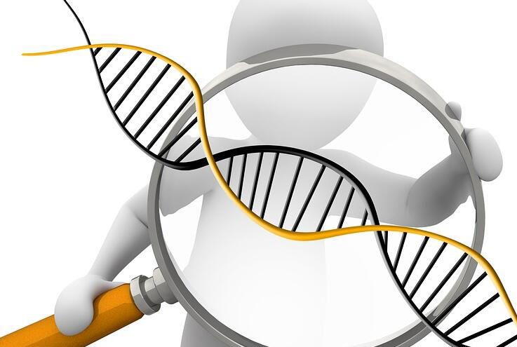 白山DNA鉴定要多少钱,白山亲子鉴定基本流程